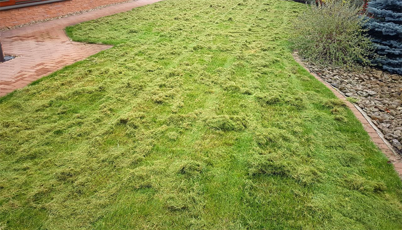 Po vertikutaci trávníku - travní zbytky jsou vyčesané, trávník je provzdušněn